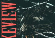 LAKEVIEW Leur 1er album est disponible