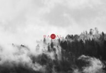 BAIKAL (avec Matthieu Romarin de Psykup), dévoile le clip de Rorschach !