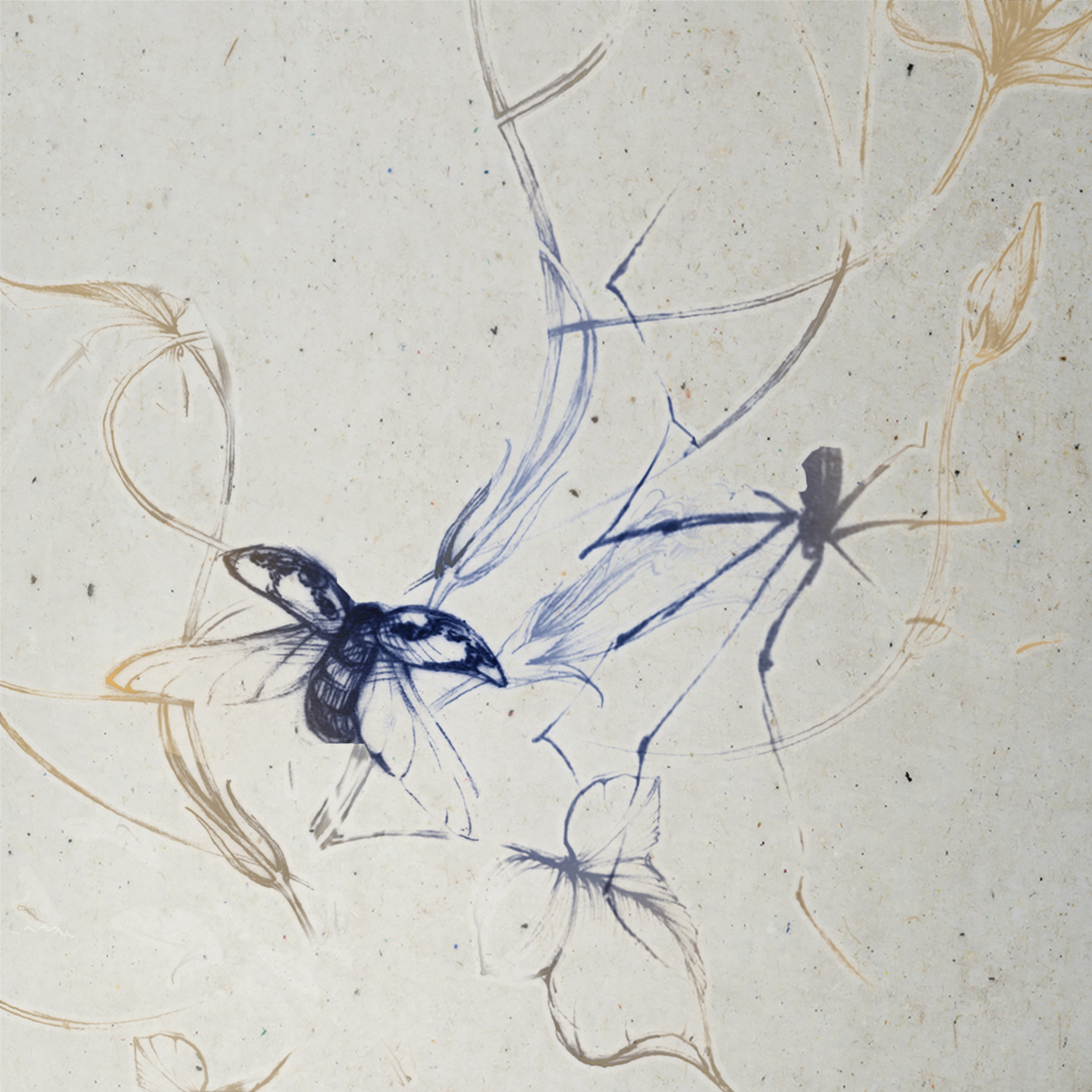 Illustration de insectes et de végétaux au trait sur fond beige, visuel du single « Patterns »